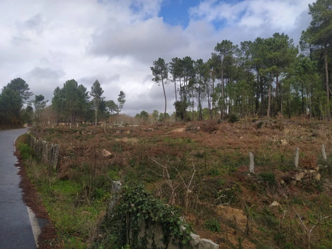 Terreno para Venda em Pinheiros Foto 6