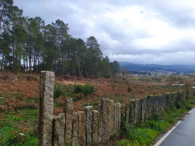 Terreno para Venda em Pinheiros Foto 9