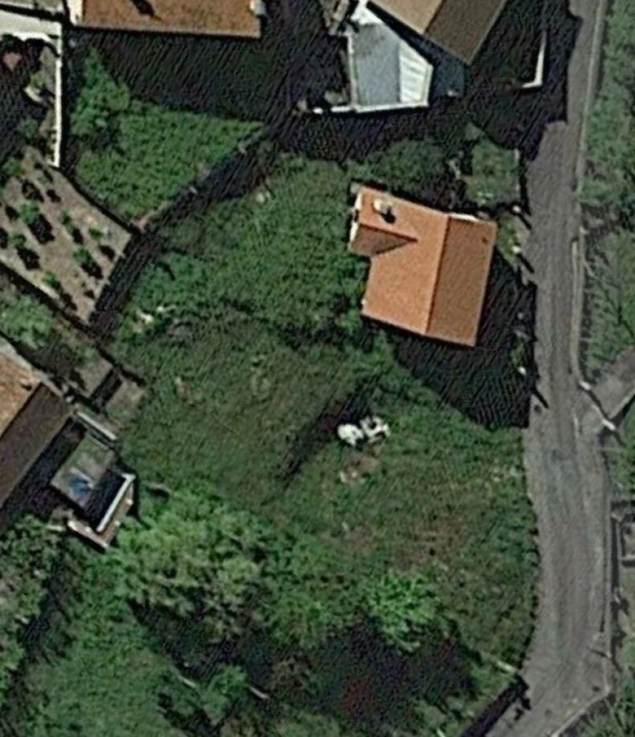 Terreno para Venda em Penso Foto 4