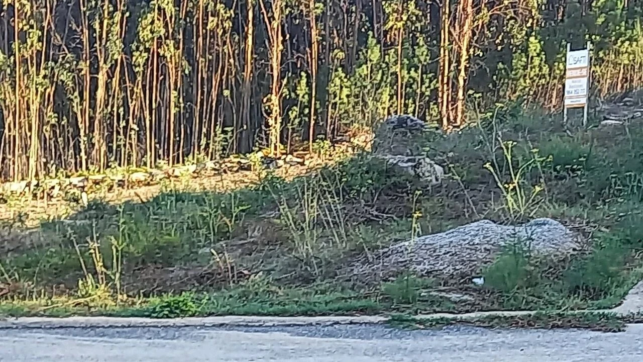 Terreno para Venda em Longos Vales Foto 6
