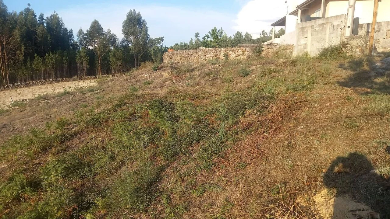 Terreno para Venda em Longos Vales Foto 9