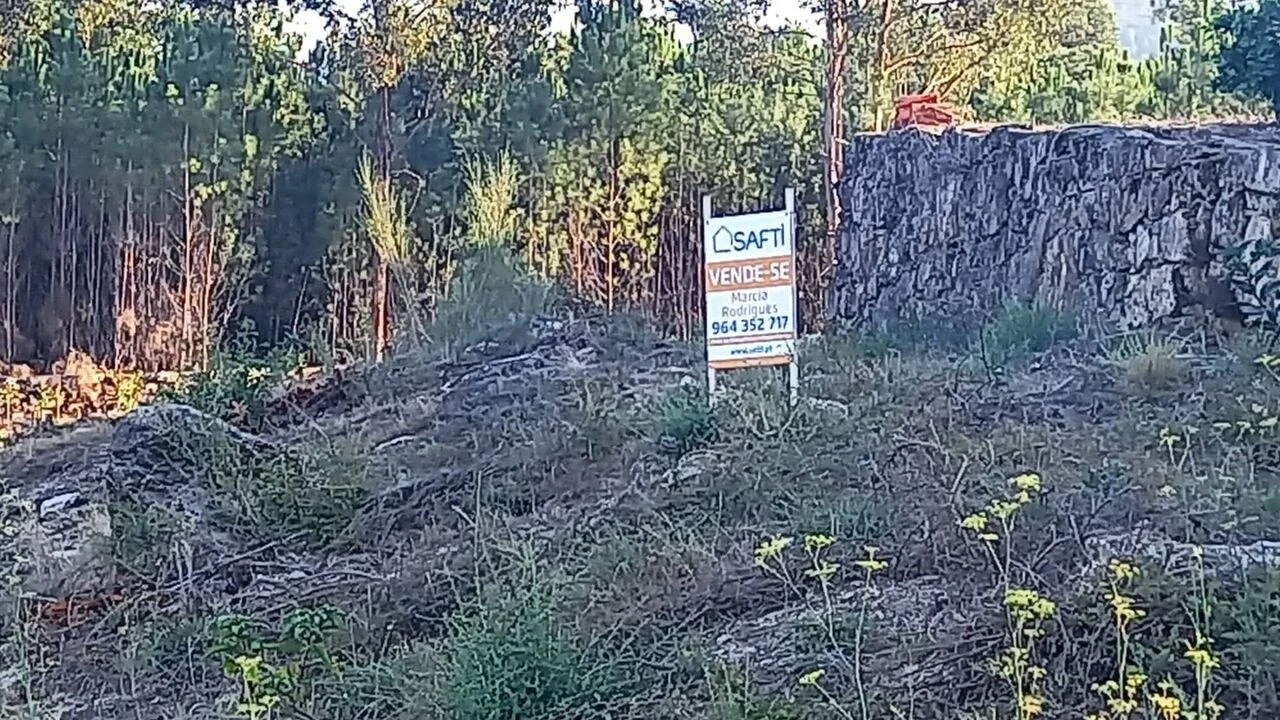 Terreno para Venda em Longos Vales Foto 11