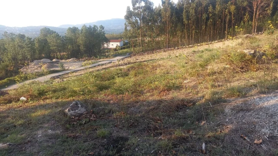Terreno para Venda em Longos Vales Foto 2