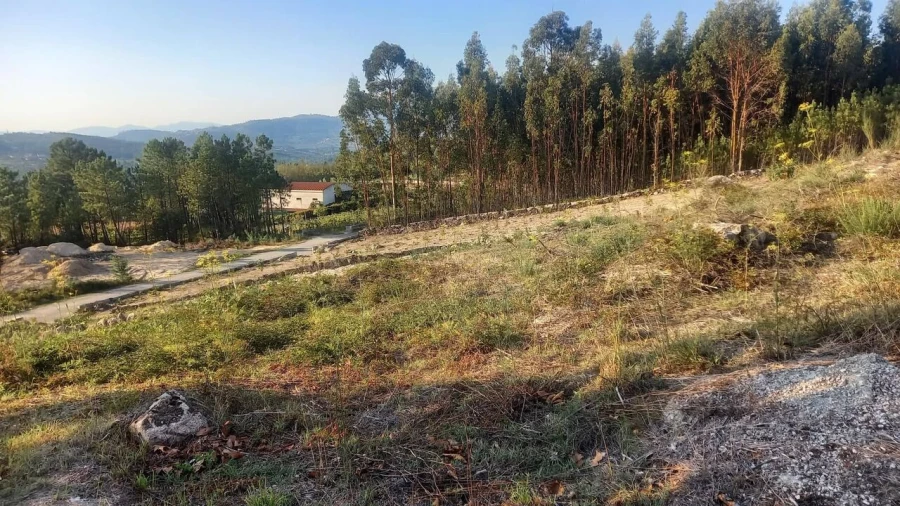 Terreno para Venda em Longos Vales Foto 3