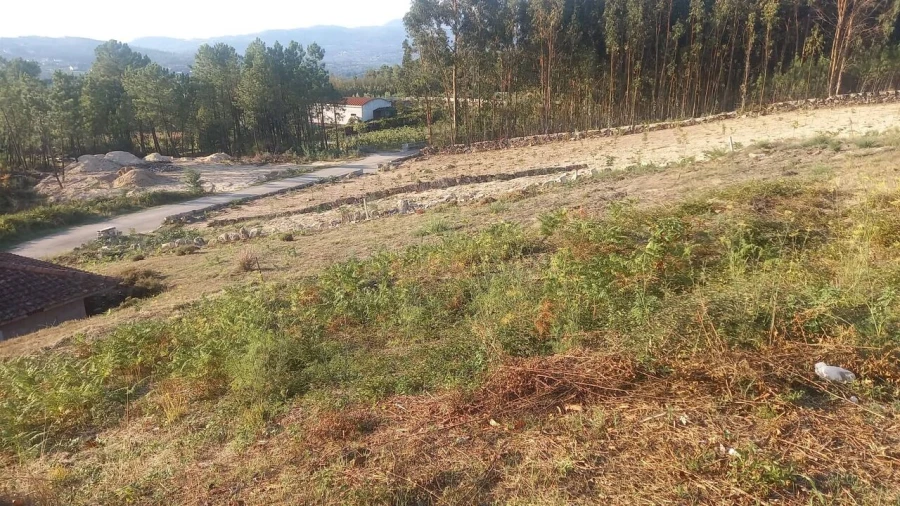Terreno para Venda em Longos Vales Foto 5