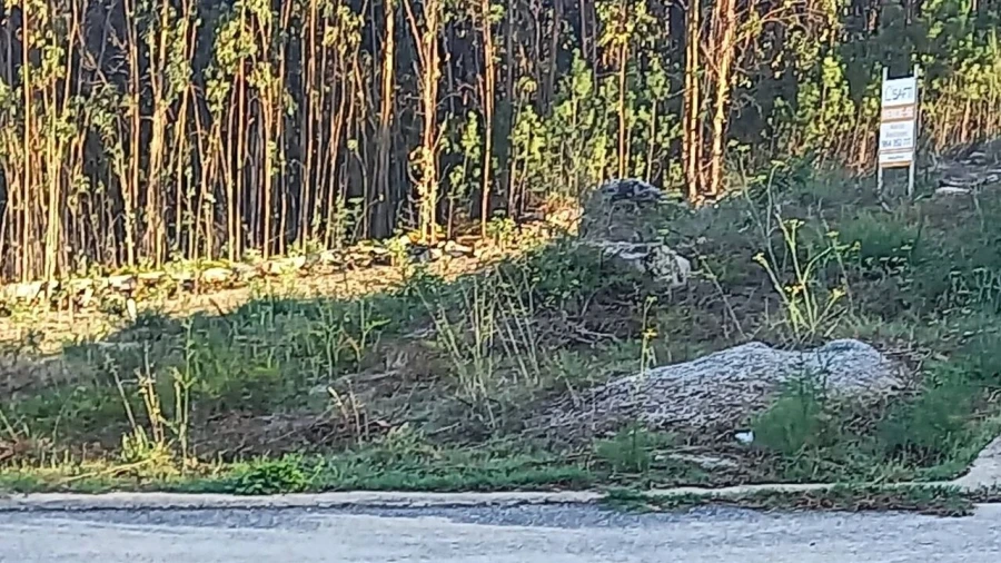 Terreno para Venda em Longos Vales Foto 6