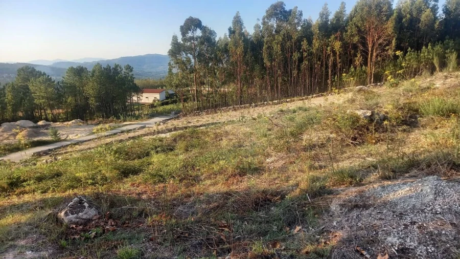 Terreno para Venda em Longos Vales Foto 7