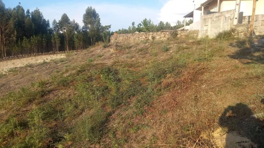 Terreno para Venda em Longos Vales Foto 10