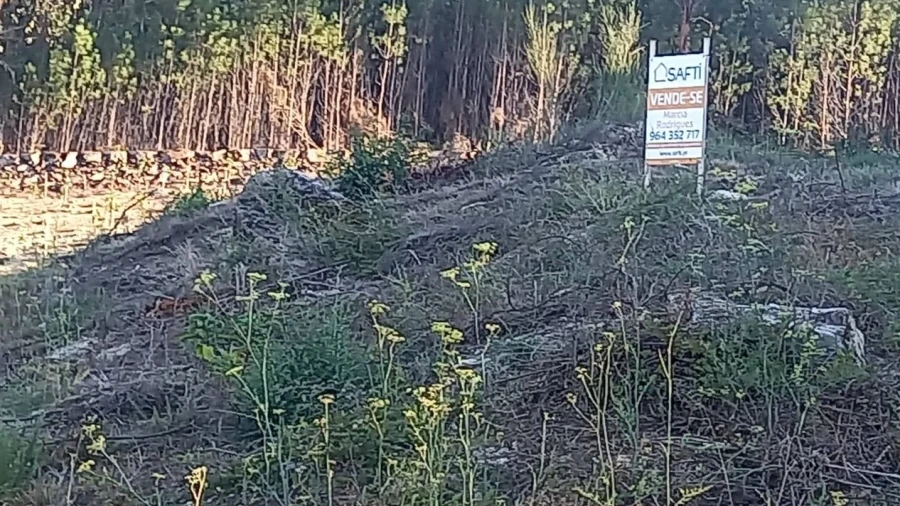 Terreno para Venda em Longos Vales