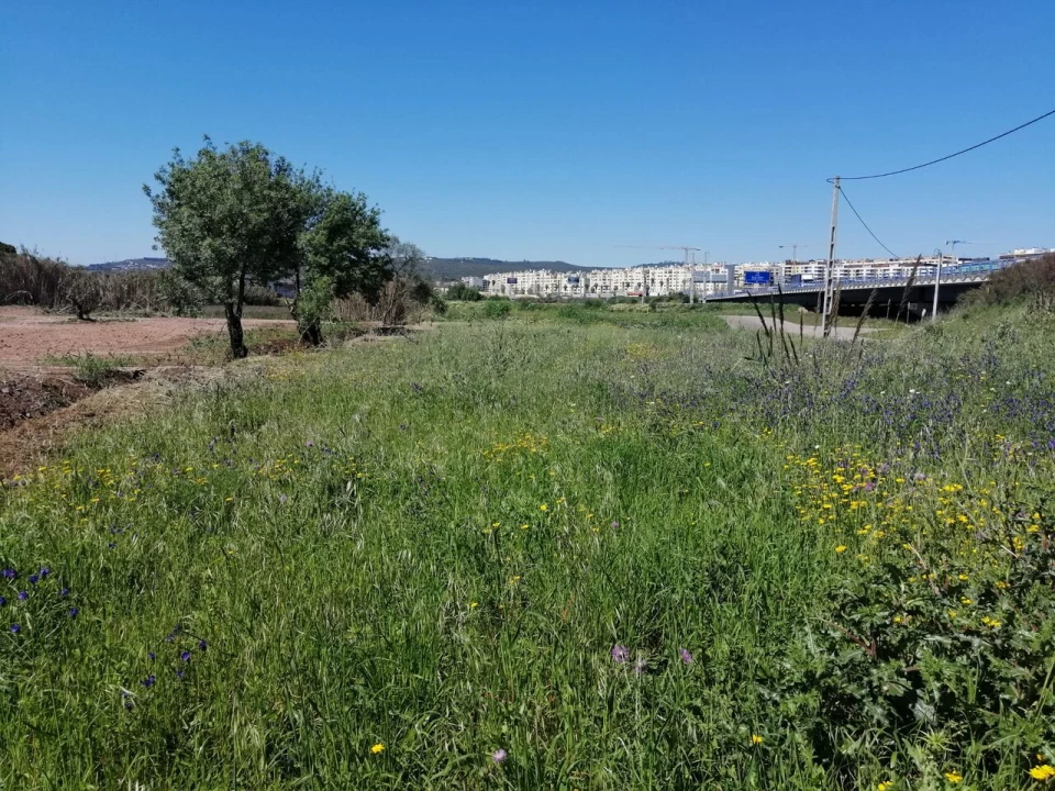 Terreno para Venda em Loures Foto 5
