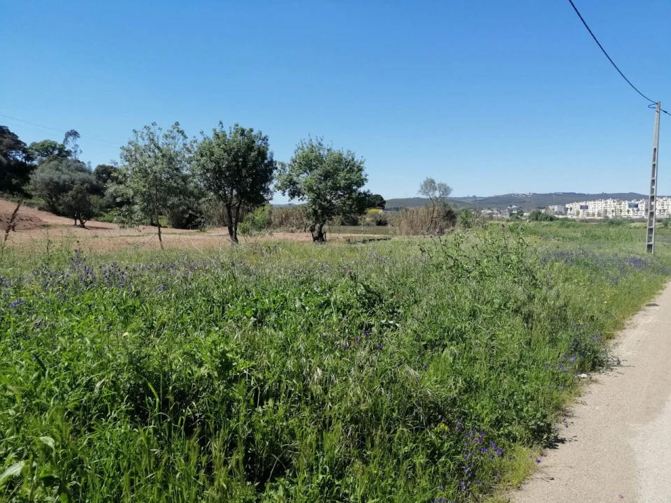Terreno para Venda em Loures Foto 3
