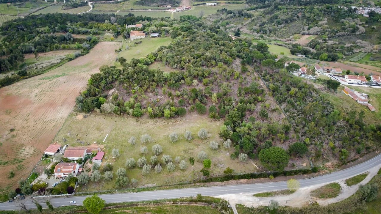 Quinta T6 para Venda em Aljubarrota Foto 6