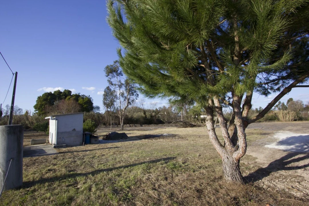 Terreno para Venda em Marinha Grande Foto 5