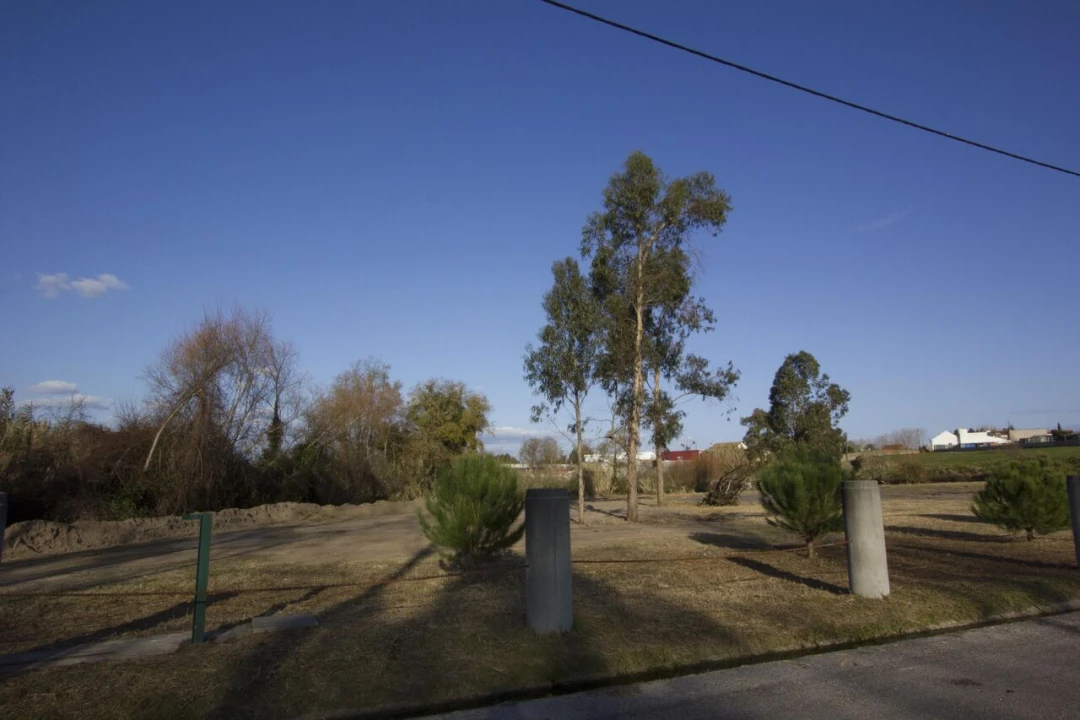 Terreno para Venda em Marinha Grande Foto 7