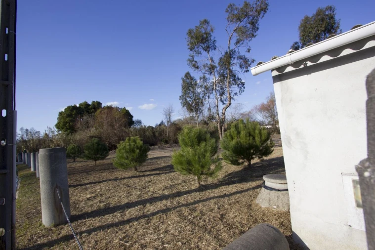 Terreno para Venda em Marinha Grande Foto 6