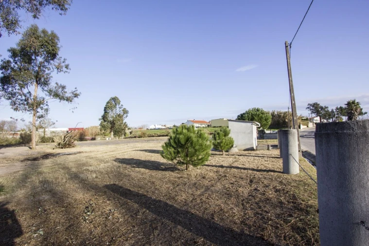 Terreno para Venda em Marinha Grande Foto 9