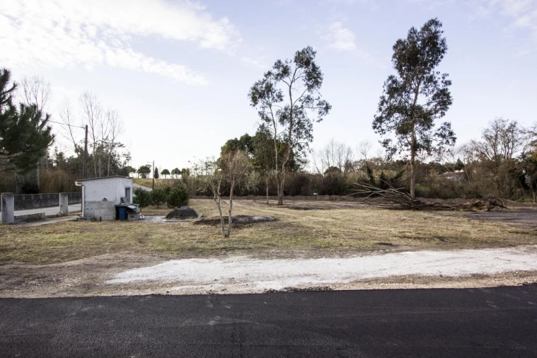 Terreno para Venda em Marinha Grande Foto 10