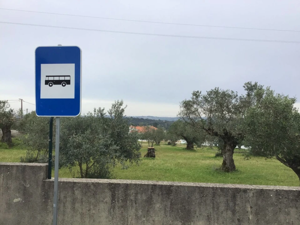 Terreno para Venda em Pedrogão Foto 5