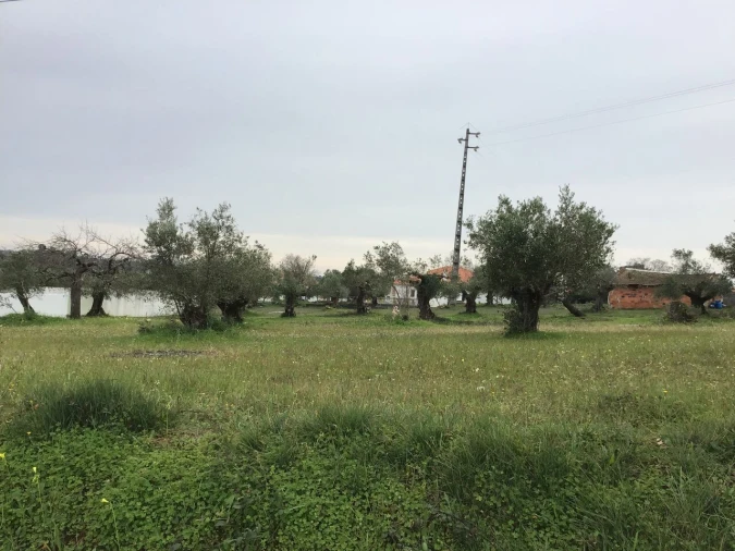 Terreno para Venda em Pedrogão Foto 2