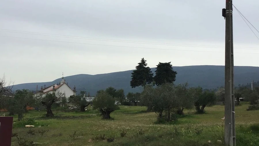 Terreno para Venda em Pedrogão