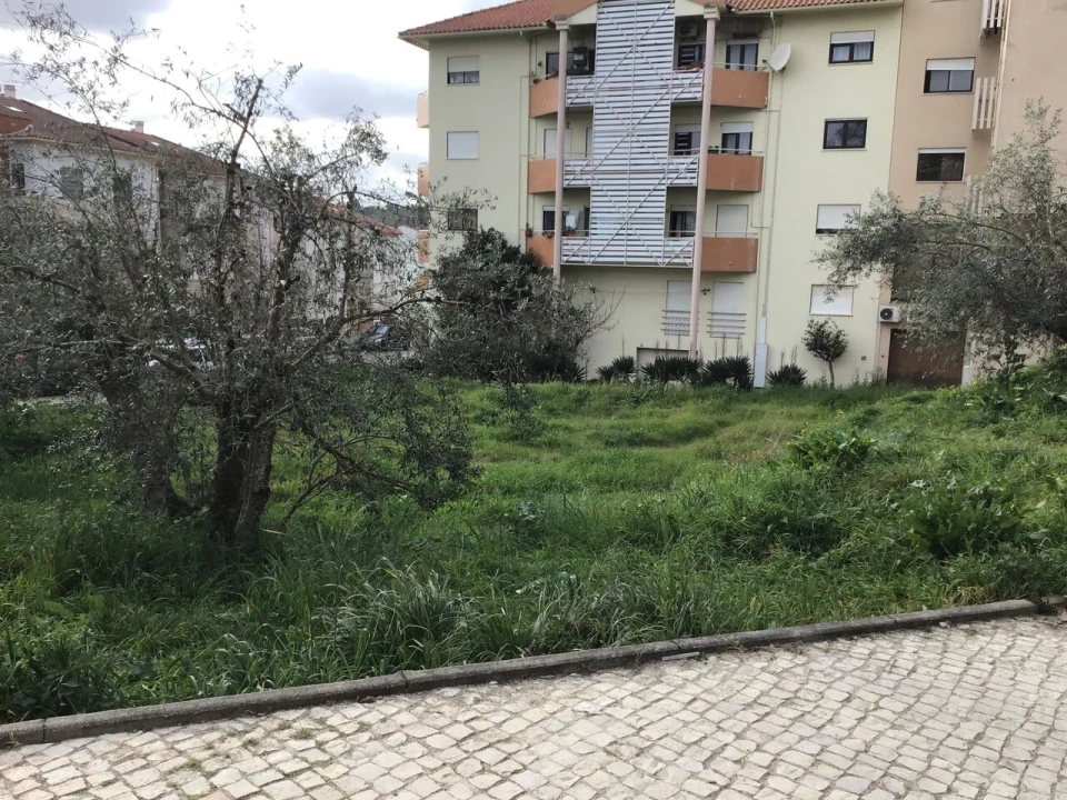 Terreno para Venda em Torres Novas (São Pedro), Lapas e Ribeira Branca Foto 3