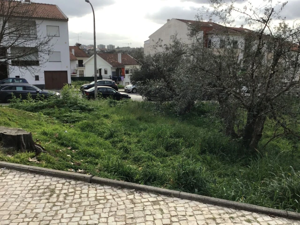 Terreno para Venda em Torres Novas (São Pedro), Lapas e Ribeira Branca Foto 4