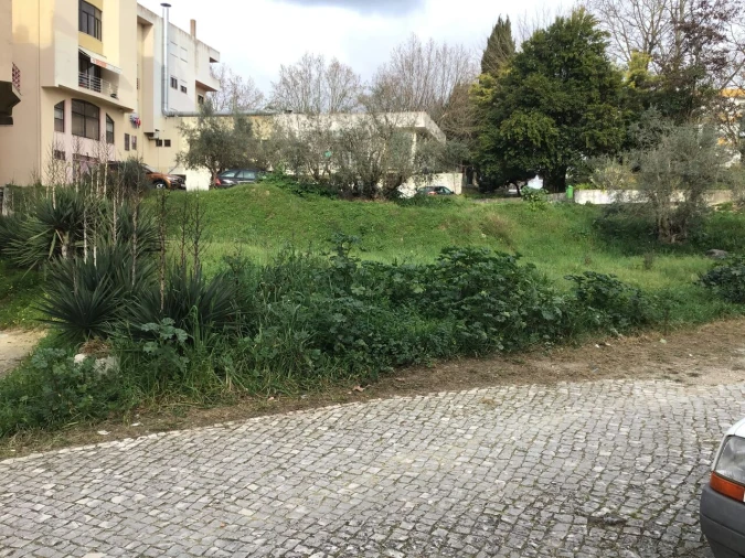 Terreno para Venda em Torres Novas (São Pedro), Lapas e Ribeira Branca Foto 2