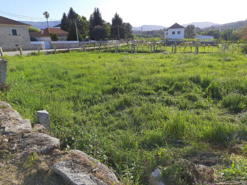 Terreno para Venda em Pias Foto 2