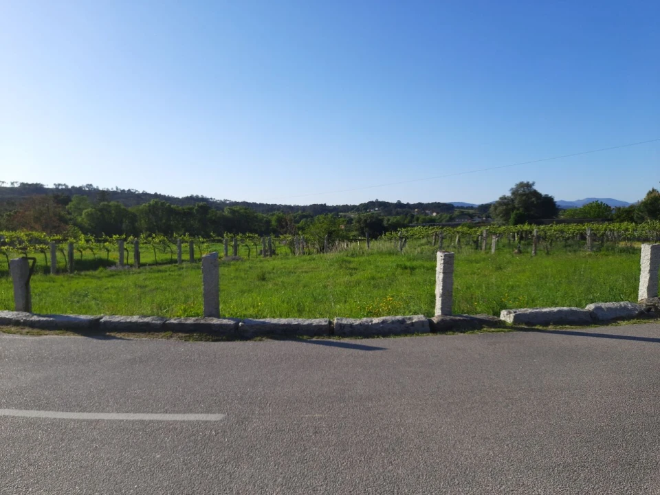 Terreno para Venda em Pias Foto 3