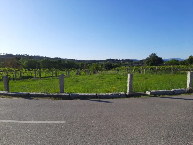 Terreno para Venda em Pias Foto 3