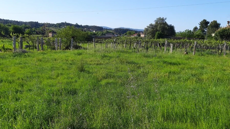 Terreno para Venda em Pias