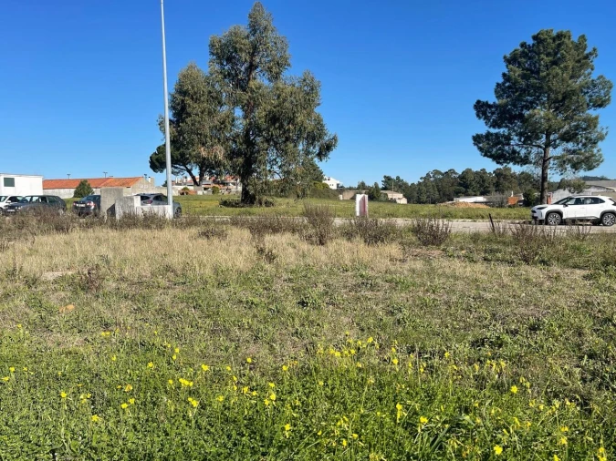 Terreno para Venda em Nossa Sra de Fatima Foto 5