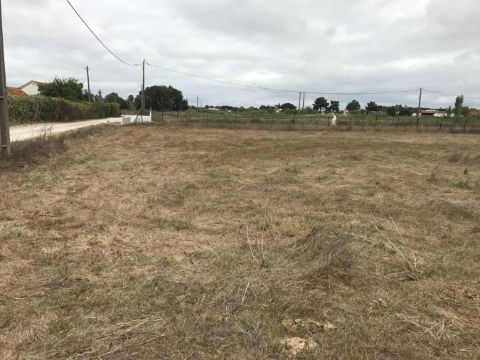Terreno para Venda em Pinhal Novo Foto 4