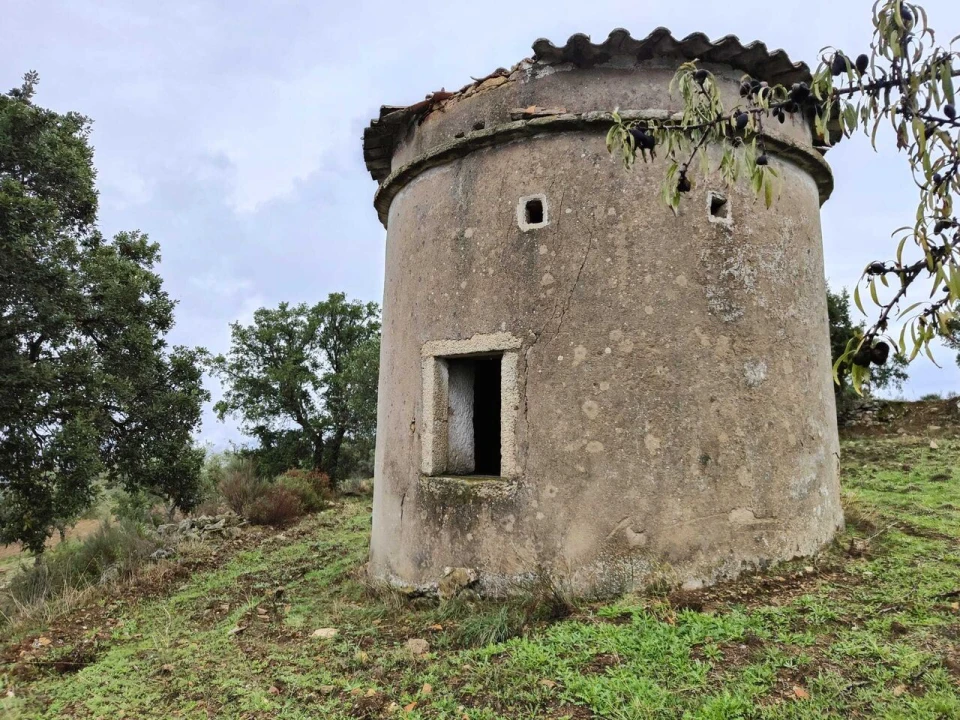 Terreno para Venda em Escalhão Foto 2
