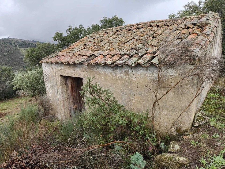 Terreno para Venda em Escalhão Foto 3