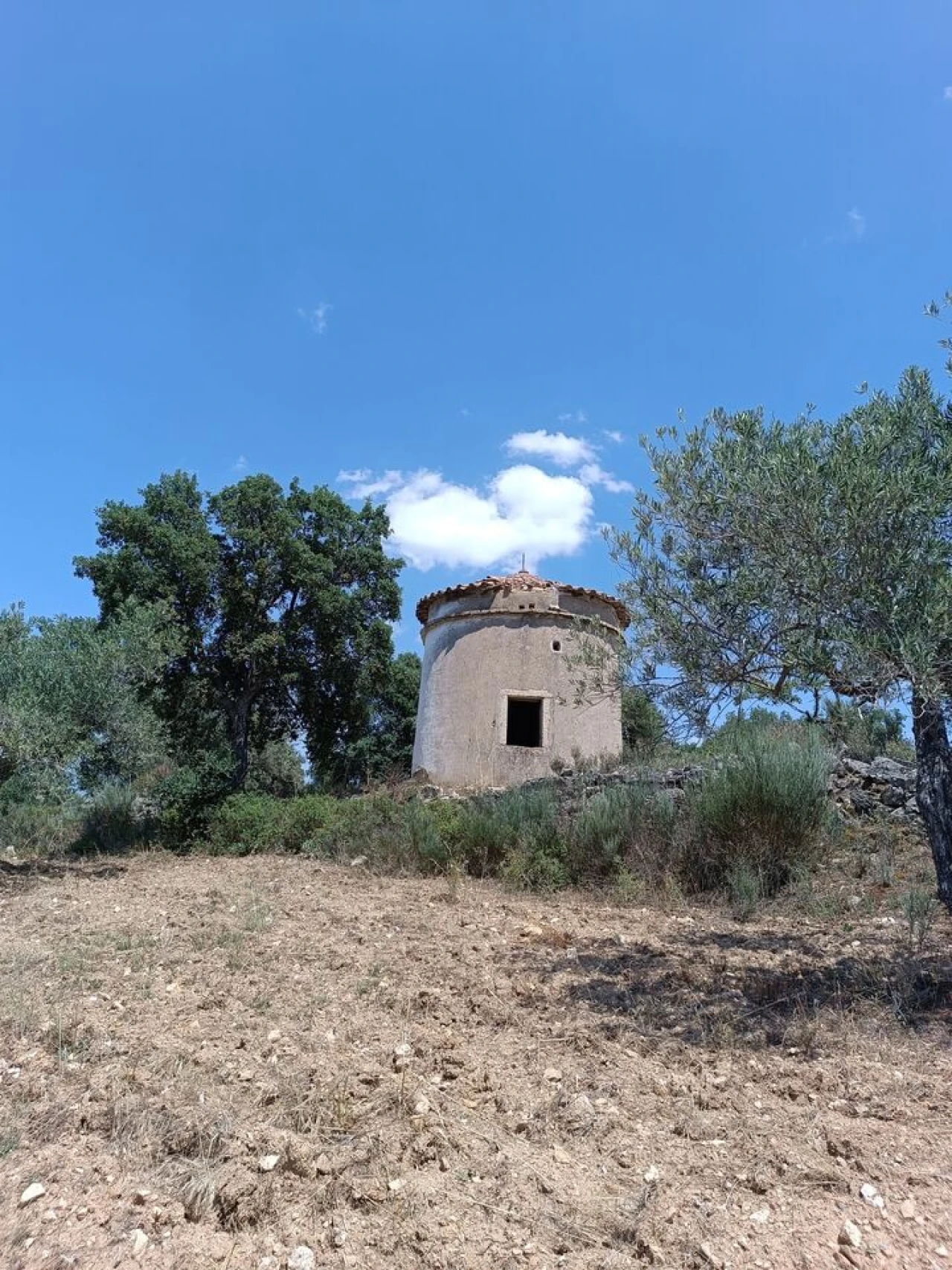 Terreno para Venda em Escalhão Foto 18