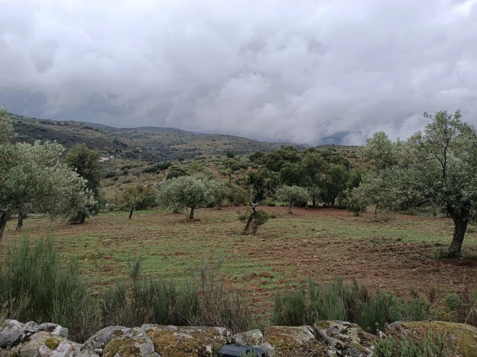 Terreno para Venda em Escalhão Foto 19