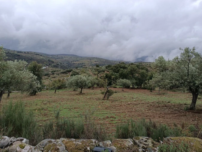 Terreno para Venda em Escalhão Foto 19
