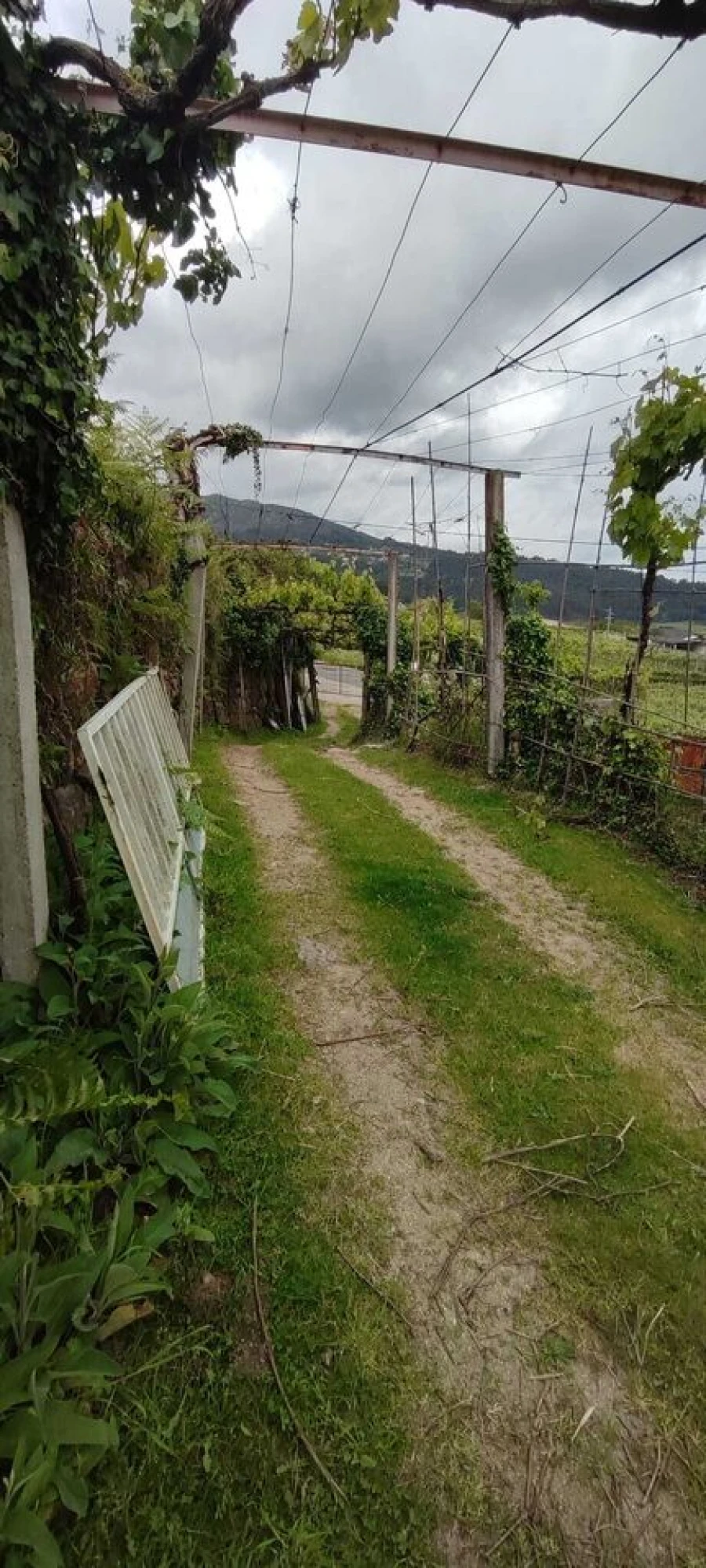 Moradia T2 para Venda em São Paio Foto 8