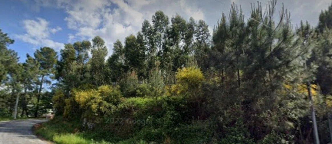 Terreno para Venda em Longos Vales Foto 2