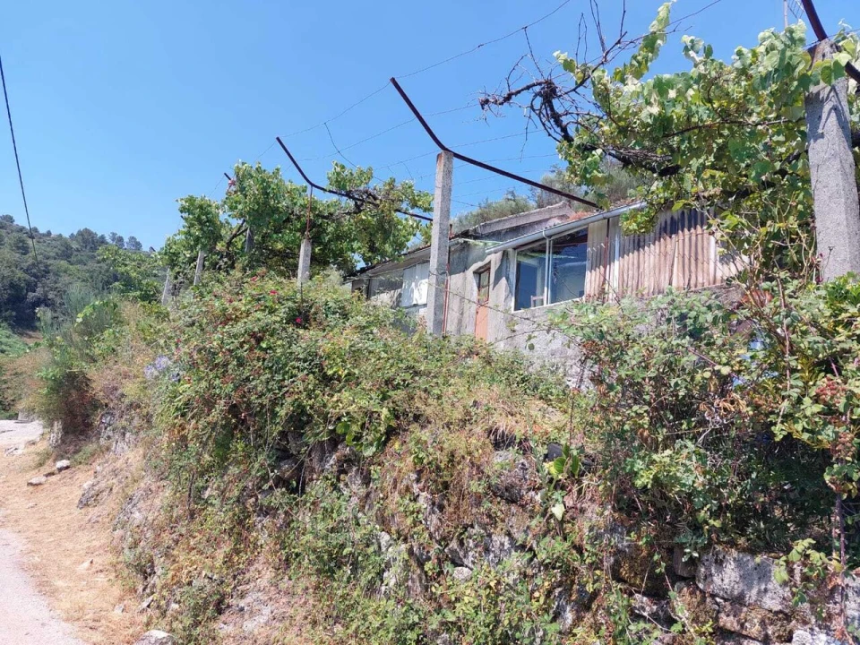 Moradia T2 para Venda em Sabadim Foto 3