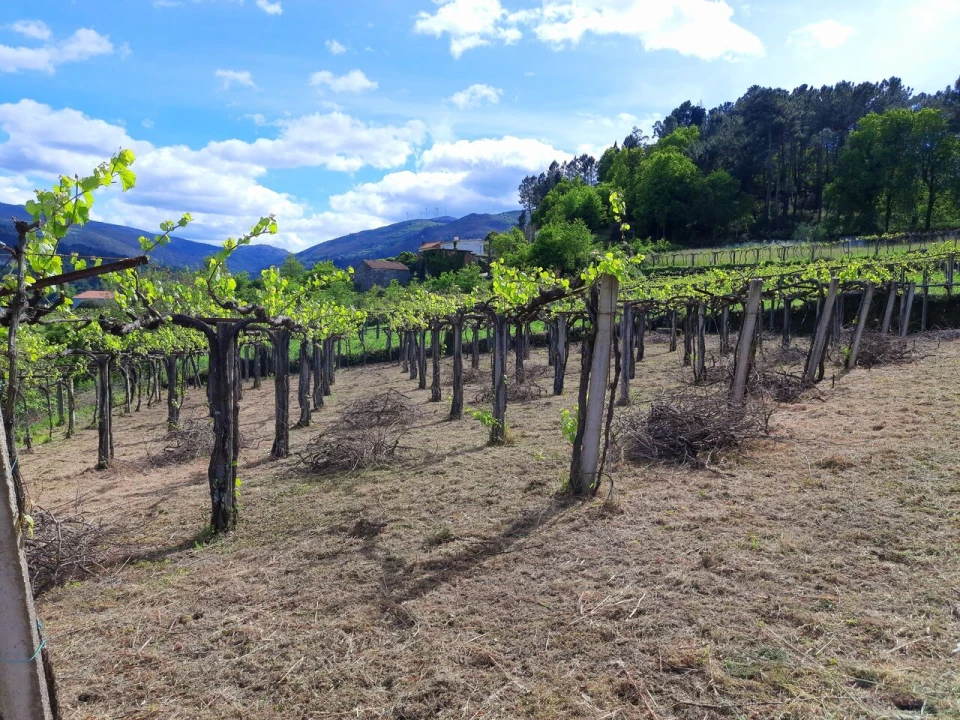 Moradia T7 para Venda em Cristoval Foto 16