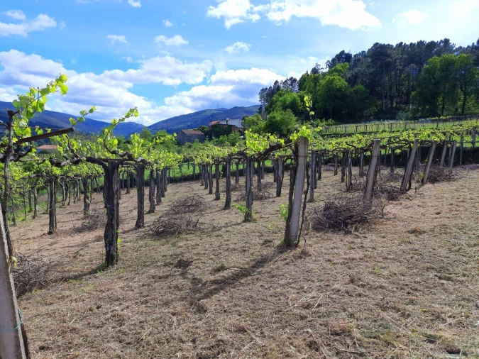 Moradia T7 para Venda em Cristoval Foto 16