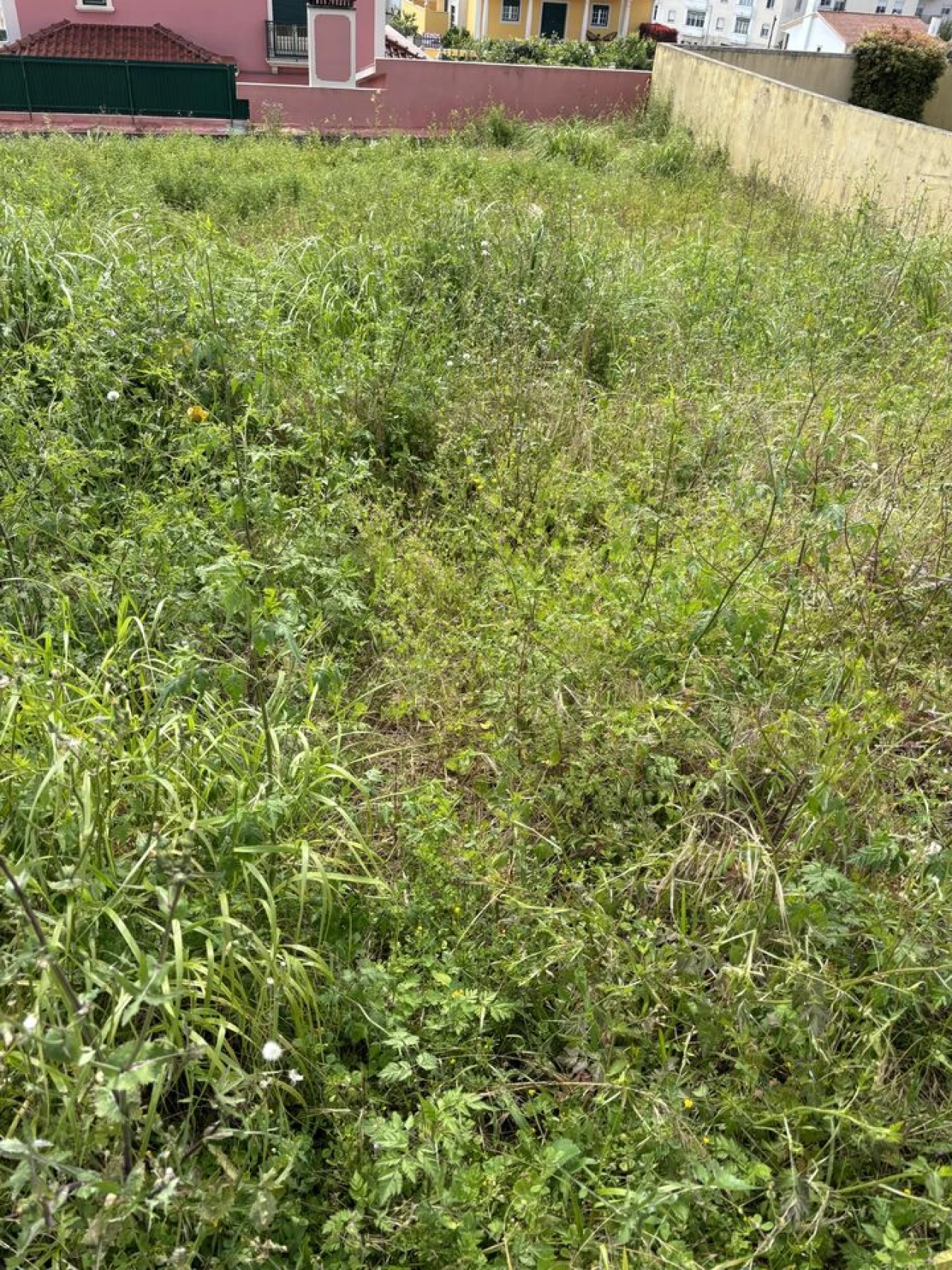 Terreno para Venda em Rio Maior Foto 2