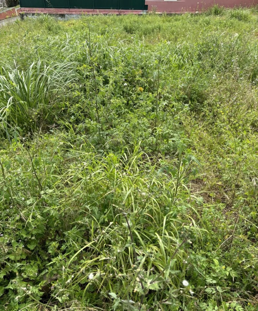 Terreno para Venda em Rio Maior