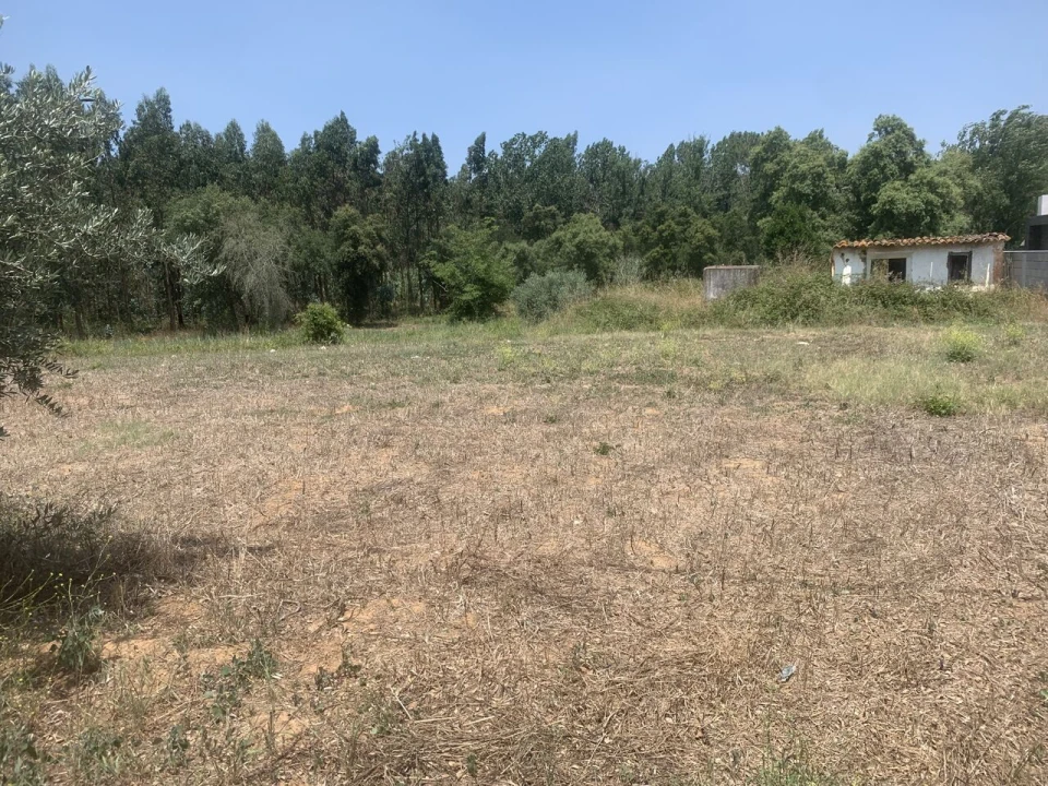 Terreno para Venda em Alcobertas Foto 2