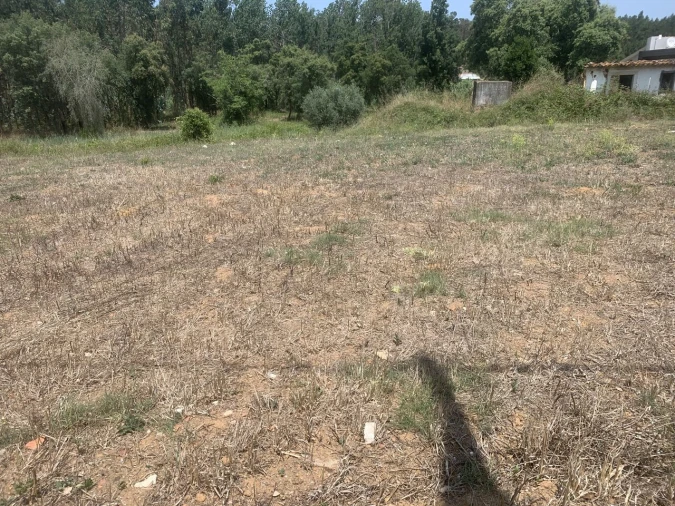 Terreno para Venda em Alcobertas Foto 1