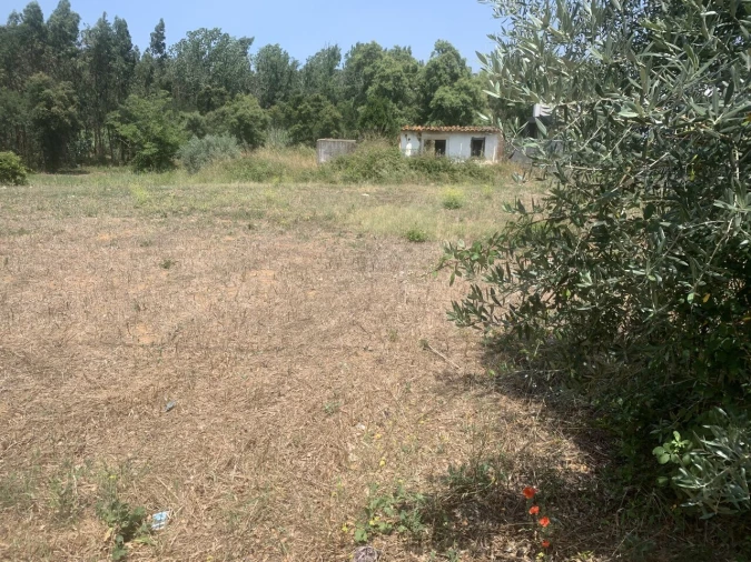 Terreno para Venda em Alcobertas Foto 4