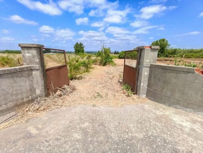 Terreno para Venda em Alpiarça Foto 1