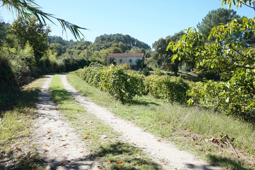 Quinta T0 para Venda em Penso Foto 5